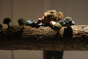 Goldilocks and the Three Little Pigs